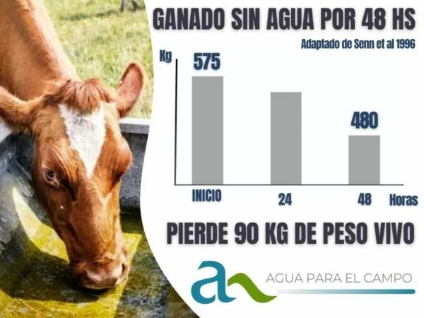 Ganado sin agua por 48 hs