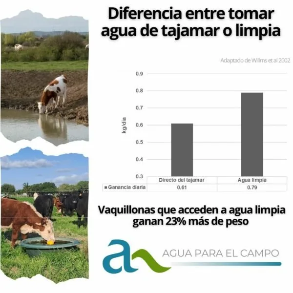 Diferencia entre tomar agua de tajamar o limpia