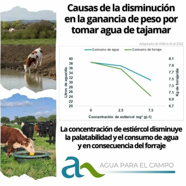 Efecto de la calidad del agua en la performance del ganado